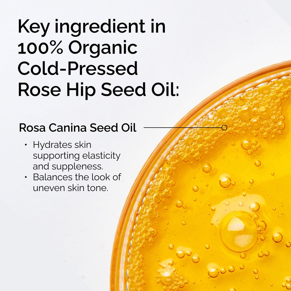 Organic Cold-Pressed Rose Hip Seed Oil Nourishing Face Oil T6