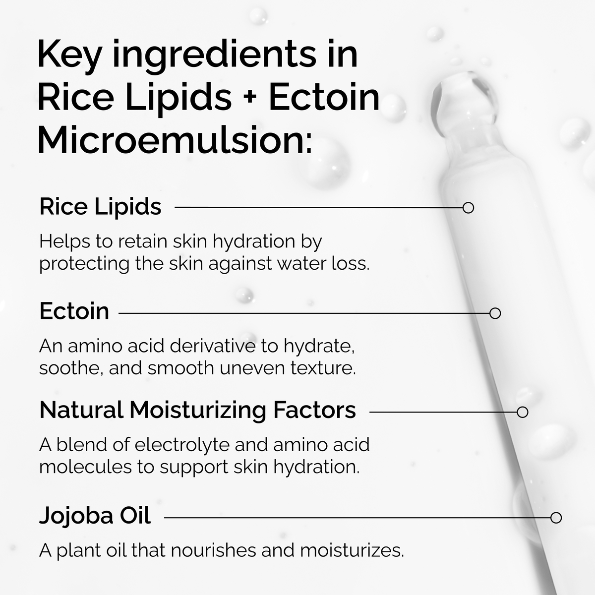 Rice Lipids + Ectoin Microemulsion Curated Care Set