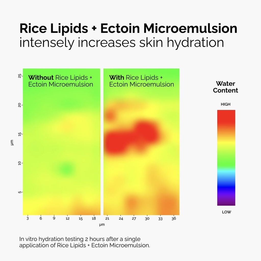 Rice Lipids + Ectoin Microemulsion Curated Care Set N7
